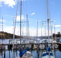 Oyster Cove Inn - Accommodation Port Macquarie