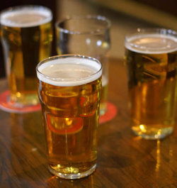Cedars Tavern - Accommodation Port Macquarie 1