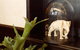 Greenwich Hotel - thumb 2