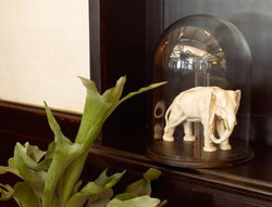 Greenwich Hotel - Accommodation Port Macquarie 2