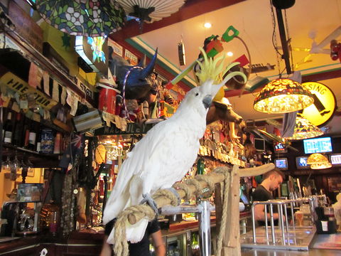 A Friend In Hand - Accommodation Port Macquarie 0