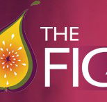 Wild Fig - Accommodation Port Macquarie