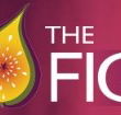 Naked Fig - Accommodation Port Macquarie