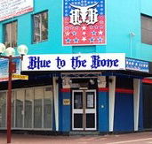 Blue to the Bone  - Accommodation Port Macquarie