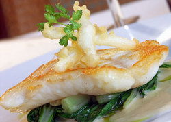 The Telegraph Hotel Geelong - Accommodation Port Macquarie 2