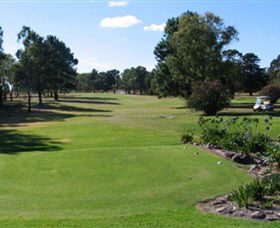 Branxton Golf Club - Accommodation Port Macquarie 0