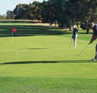 Waikerie Golf Club - Accommodation Port Macquarie
