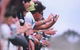 Geelong Racing Club - thumb 0