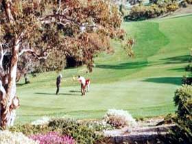 Victor Harbor Golf Club - Accommodation Port Macquarie 1