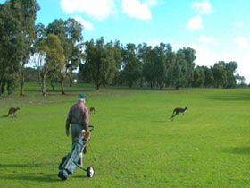 Coffin Bay Golf Club - Accommodation Port Macquarie 0