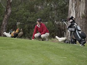 Acton Park TAS Accommodation Port Macquarie