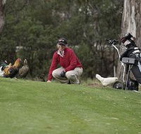 Tasmania Golf Club - The - Accommodation Port Macquarie