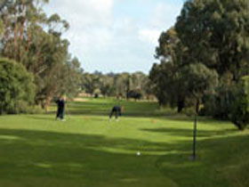 Mount Gambier Golf Club - Accommodation Port Macquarie 0
