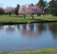 RMC Golf Club - Accommodation Port Macquarie