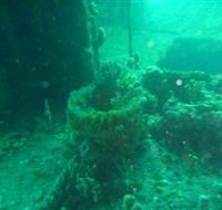 Wallaroo Scuba Club - Accommodation Port Macquarie