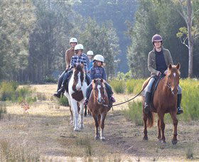 Horse Riding At Oaks Ranch And Country Club - Accommodation Port Macquarie 0