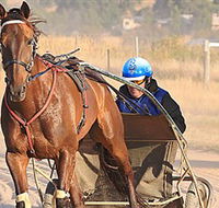 Ballarat  District Trotting Club - Accommodation Port Macquarie