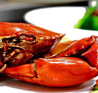 Newquay International Buffet - Accommodation Port Macquarie