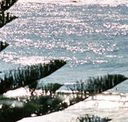 Bondi Social - Accommodation Port Macquarie