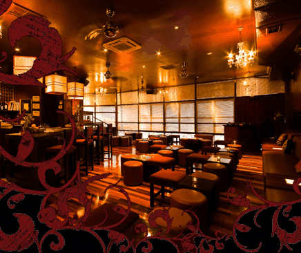 Hippo Lounge Bar - Accommodation Port Macquarie