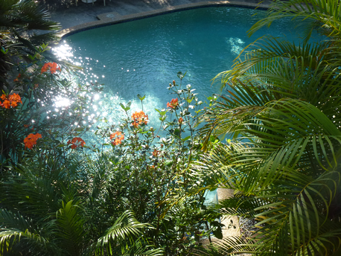 Avoca Beach Hotel - Accommodation Port Macquarie 1