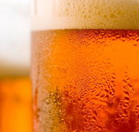 Coledale Fine Wines - Accommodation Port Macquarie