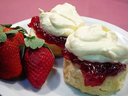 Point Vernon QLD Accommodation Port Macquarie