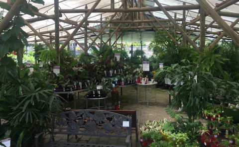 Limberlost Nursery & Garden Centre - Accommodation Port Macquarie 1