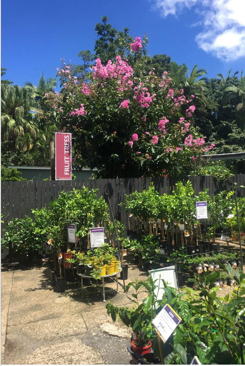Limberlost Nursery & Garden Centre - Accommodation Port Macquarie 3