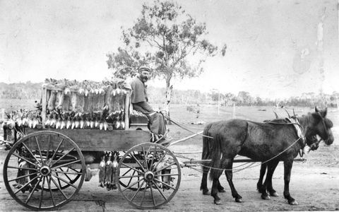 A Tale Of Two Villages - An Exhibition - Accommodation Port Macquarie 1