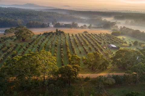 A Taste Of Truffles - Accommodation Port Macquarie 1