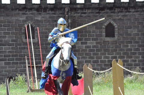 Baroque Horse Festival - Accommodation Port Macquarie 1