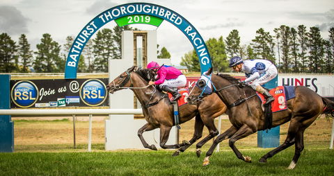 Bathurst Cup - Accommodation Port Macquarie 0
