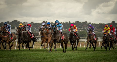 Bathurst Cup - Accommodation Port Macquarie 1