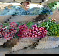 Berry Farmers' Market - Accommodation Port Macquarie