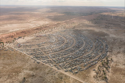 Birdsville Big Red Bash - Accommodation Port Macquarie 1