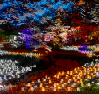 Canberra Nara Candle Festival - Accommodation Port Macquarie