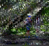 Elephant Trail Race - Accommodation Port Macquarie
