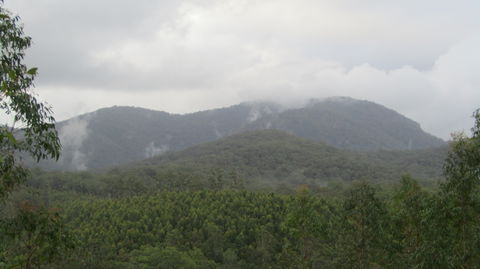 Elephant Trail Race - Accommodation Port Macquarie 2