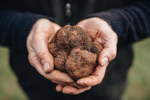 Feast And Forage - Craig's Royal Hotel - Accommodation Port Macquarie 0