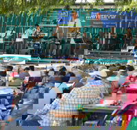 Festival in the Park - Accommodation Port Macquarie