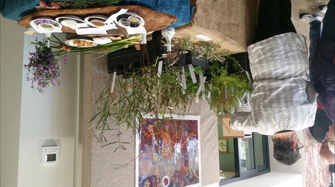 Grampians Wildflower Show - Accommodation Port Macquarie 1