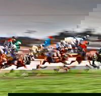 Grafton July Racing Carnival - Accommodation Port Macquarie