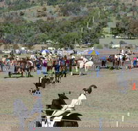 Gresford Agricultural Show - Accommodation Port Macquarie