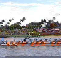 Jacaranda Dragon Boat Races - Accommodation Port Macquarie