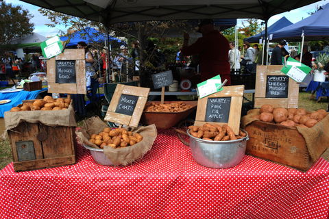 Lawson Park Markets - Accommodation Port Macquarie 0
