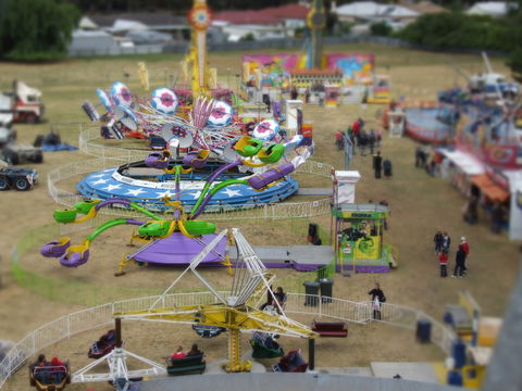 Millicent Agricultural And Horticultural Show - Accommodation Port Macquarie 0