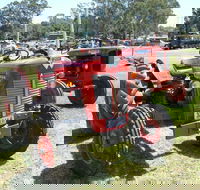 Oil Steam and Kerosene Family Fun Day - Accommodation Port Macquarie