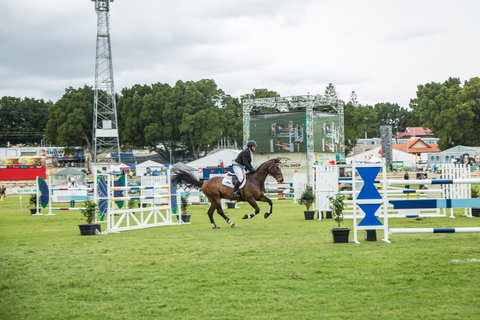 Perth Royal Show - Accommodation Port Macquarie 1