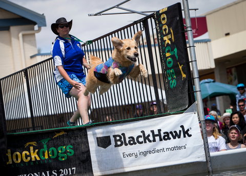 Perth Royal Show - Accommodation Port Macquarie 2